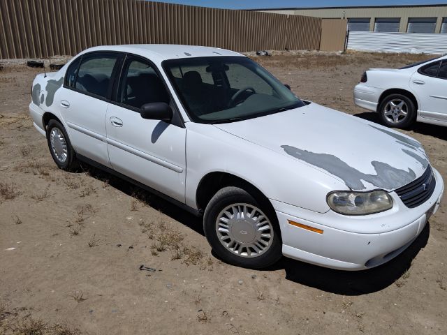 Vehicle Pic